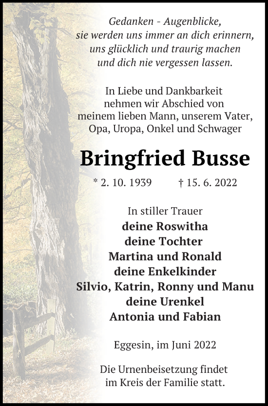 Traueranzeige von Bringfried Busse von Haff-Zeitung