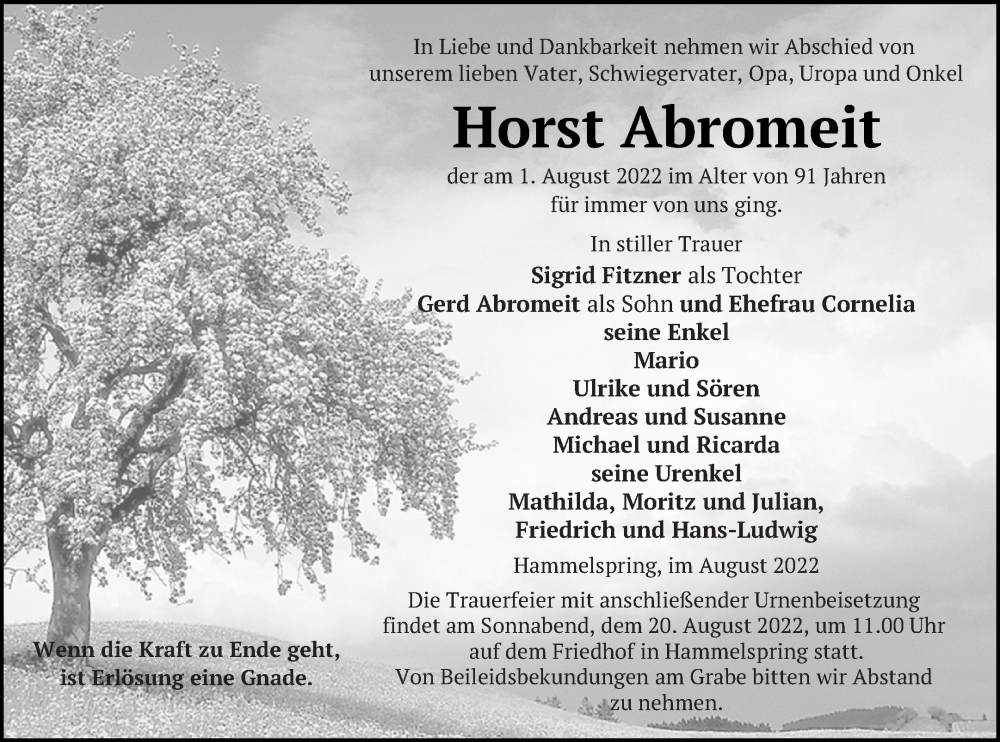  Traueranzeige für Horst Abromeit vom 04.08.2022 aus Templiner Zeitung