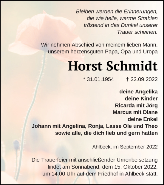 Traueranzeige von Horst Schmidt von Haff-Zeitung
