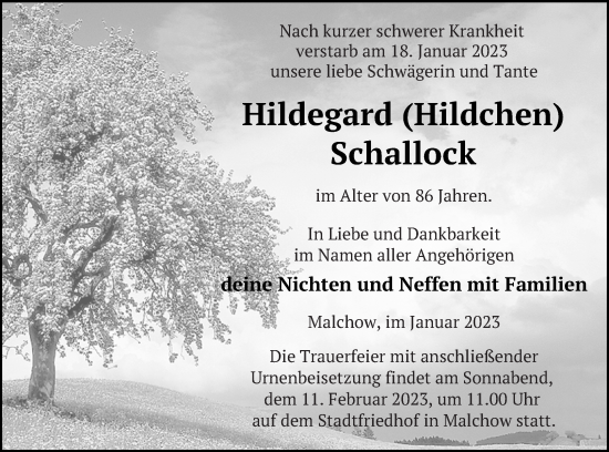 Traueranzeige von Hildegard Schallock von Haff-Zeitung