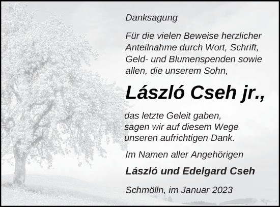 Traueranzeige von Laszlo Cseh von Prenzlauer Zeitung