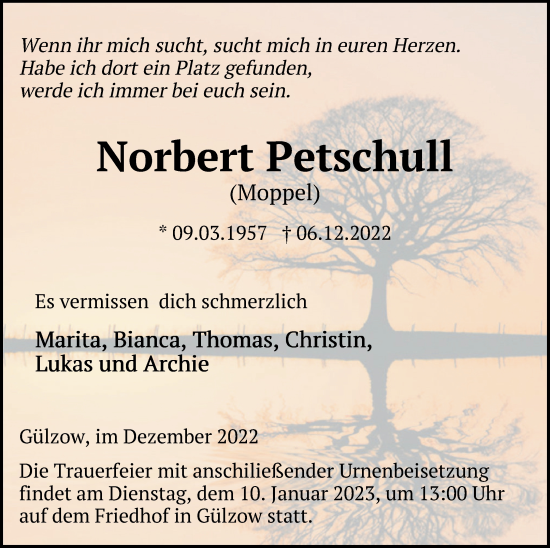 Traueranzeige von Norbert Petschull von Mecklenburger Schweiz