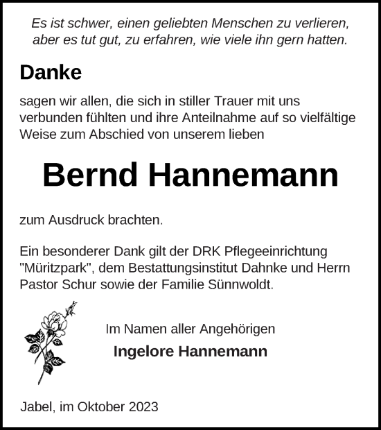 Traueranzeige von Bernd Hannemann von Müritz-Zeitung