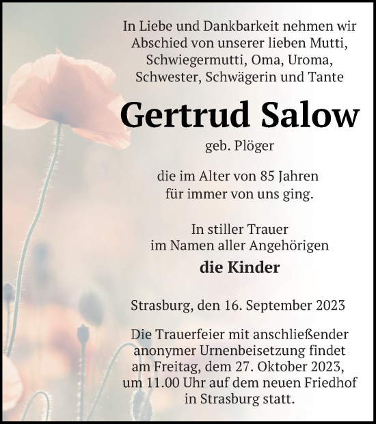 Traueranzeige von Gertrud Salow von Pasewalker Zeitung