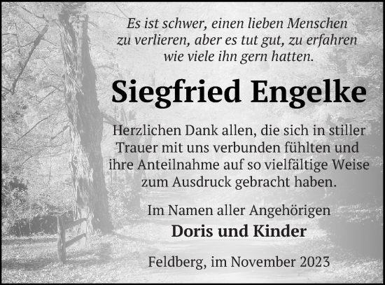 Traueranzeige von Siegfried Engelke von Strelitzer Zeitung