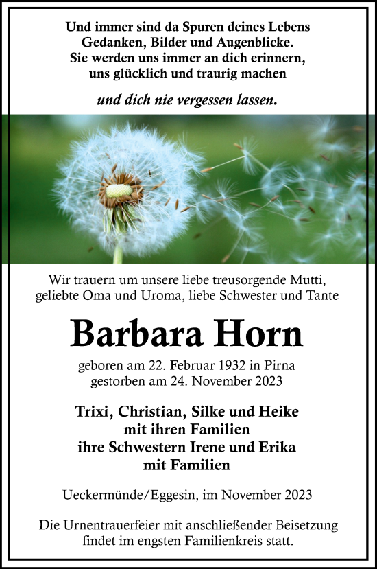 Traueranzeige von Barbara Horn von Haff-Zeitung