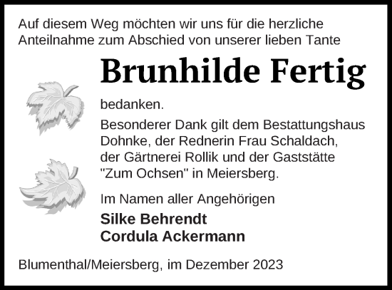 Traueranzeige von Brunhilde Fertig von Haff-Zeitung