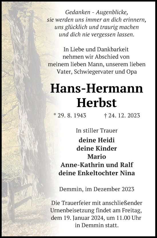 Traueranzeige von Hans-Hermann Herbst von Demminer Zeitung