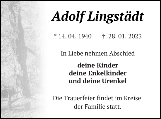 Traueranzeige von Adolf Lingstädt von Müritz-Zeitung