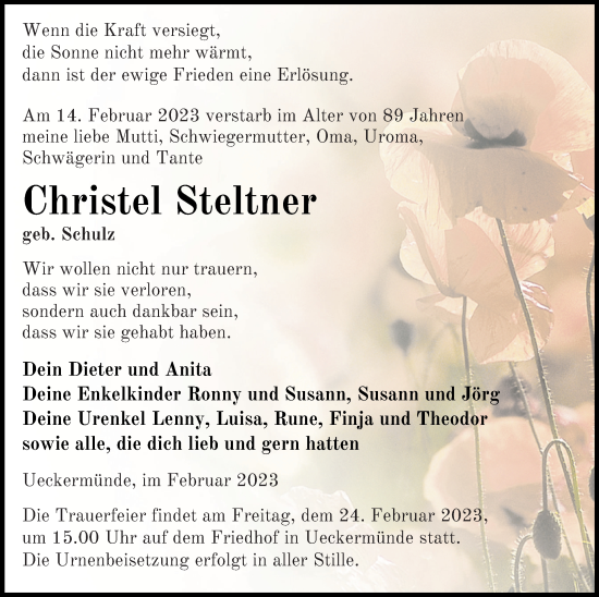 Traueranzeige von Christel Steltner von Haff-Zeitung
