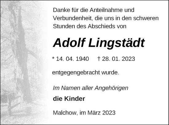 Traueranzeige von Adolf Lingstädt von Müritz-Zeitung