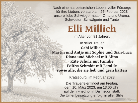 Traueranzeige von Elli Millich von Strelitzer Zeitung