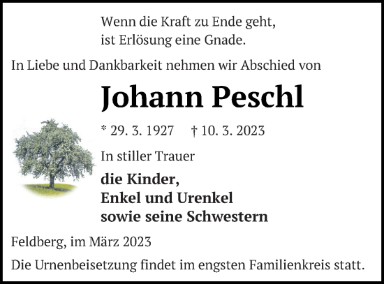 Traueranzeige von Johann Peschl von Strelitzer Zeitung