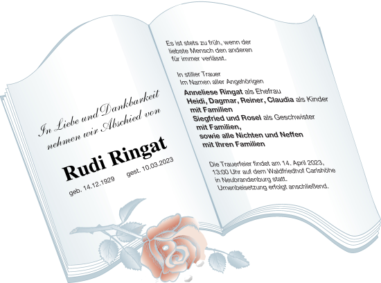 Traueranzeige von Rudi Ringat von Neubrandenburger Zeitung