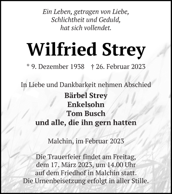 Traueranzeige von Wilfried Strey von Mecklenburger Schweiz