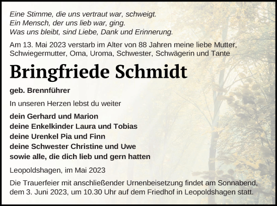 Traueranzeige von Bringfriede Schmidt von Haff-Zeitung