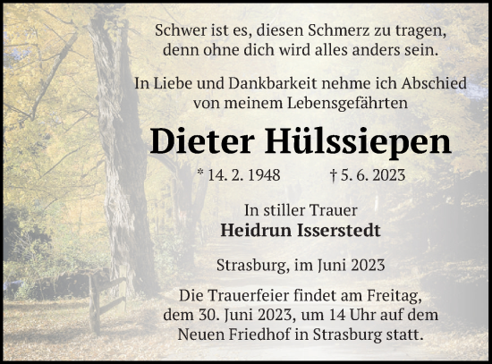 Traueranzeige von Dieter Hülssiepen von Pasewalker Zeitung