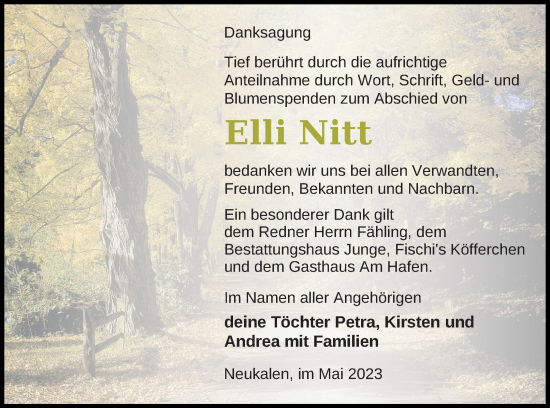 Traueranzeige von Elli Nitt von Mecklenburger Schweiz