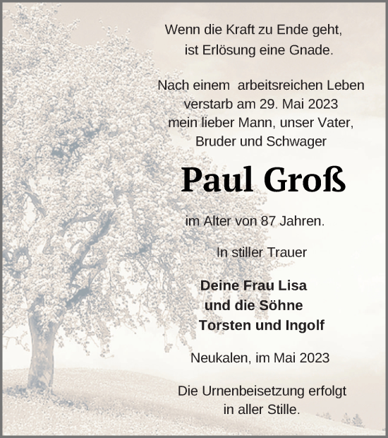 Traueranzeige von Paul Groß von Mecklenburger Schweiz