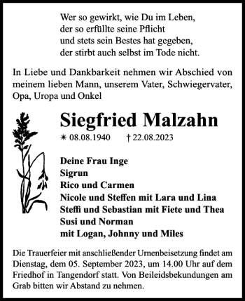 Traueranzeige von Siegfried Malzahn von Der Prignitzer