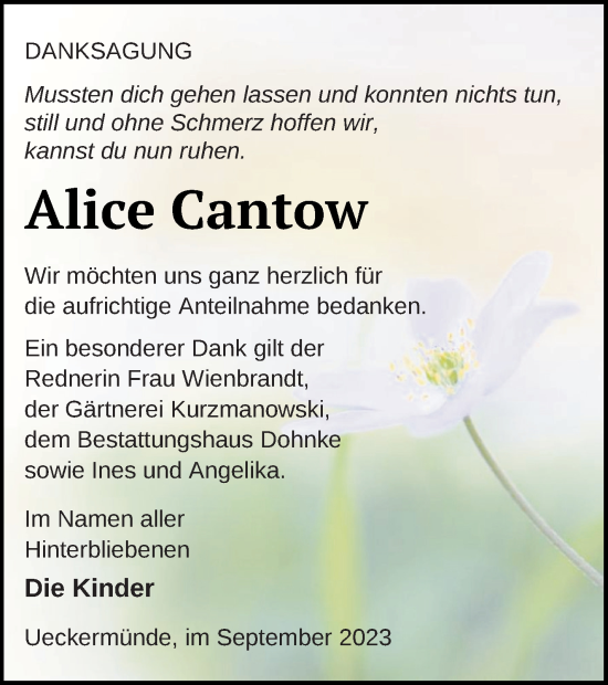 Traueranzeige von Alice Cantow von Haff-Zeitung