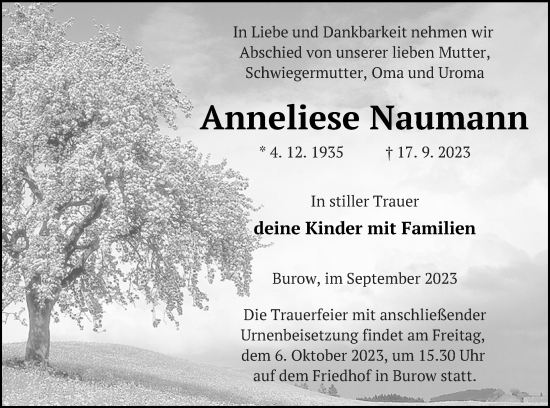 Traueranzeige von Anneliese Naumann von Neubrandenburger Zeitung