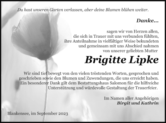 Traueranzeige von Brigitte Lipke von Pasewalker Zeitung