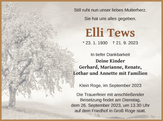 Traueranzeige von Elli Tews von Mecklenburger Schweiz