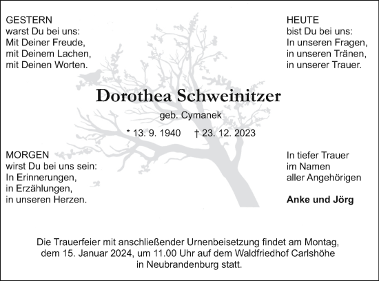 Traueranzeige von Dorothea Schweinitzer von Neubrandenburger Zeitung