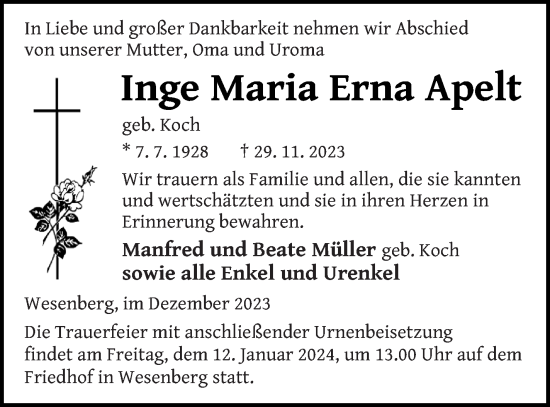 Traueranzeige von Inge Maria Erna Apelt von Strelitzer Zeitung