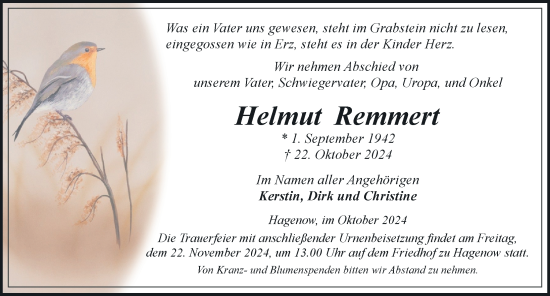 Traueranzeige von Helmut Remmert von Hagenower Kreisblatt