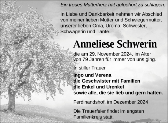 Traueranzeige von Anneliese Schwerin von Nordkurier Haff-Zeitung