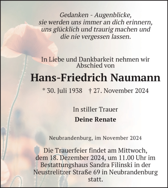 Traueranzeige von Hans-Friedrich Naumann von Nordkurier Neubrandenburger Zeitung