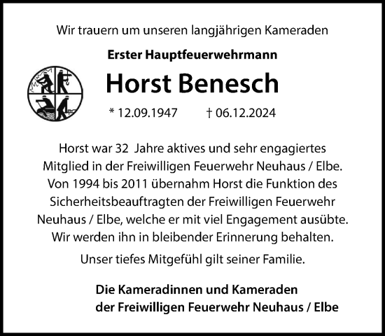 Traueranzeige von Horst Benesch von Hagenower Kreisblatt