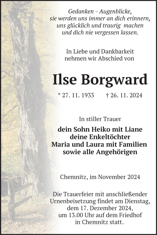 Traueranzeige von Ilse Borgward von Nordkurier Neubrandenburger Zeitung