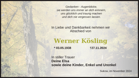 Traueranzeige von Werner Kösling von Gadebusch - Rehnaer Zeitung