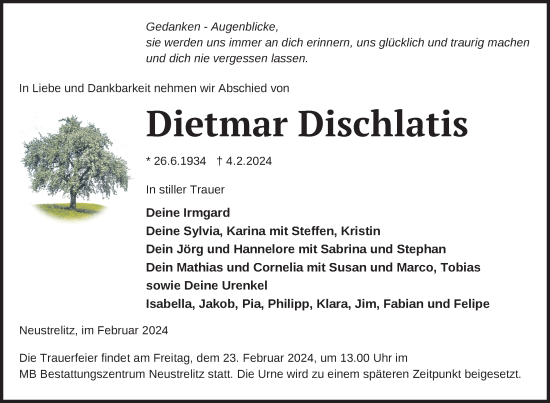 Traueranzeige von Dietmar Dischlatis von Nordkurier Strelitzer Zeitung