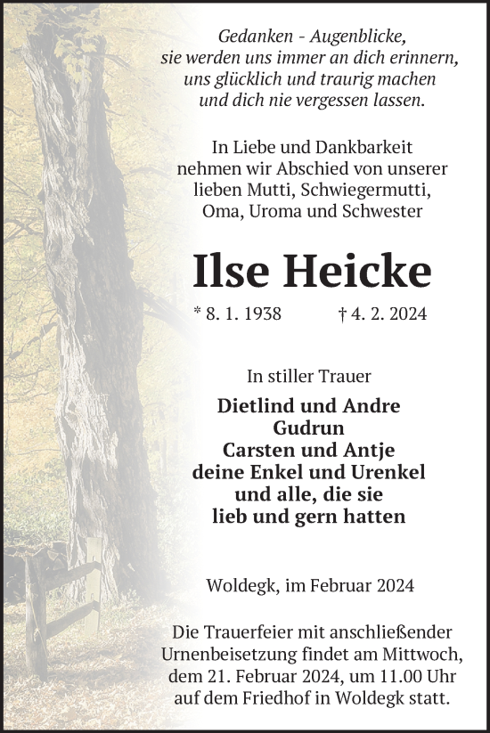 Traueranzeige von Ilse Heicke von Nordkurier Strelitzer Zeitung