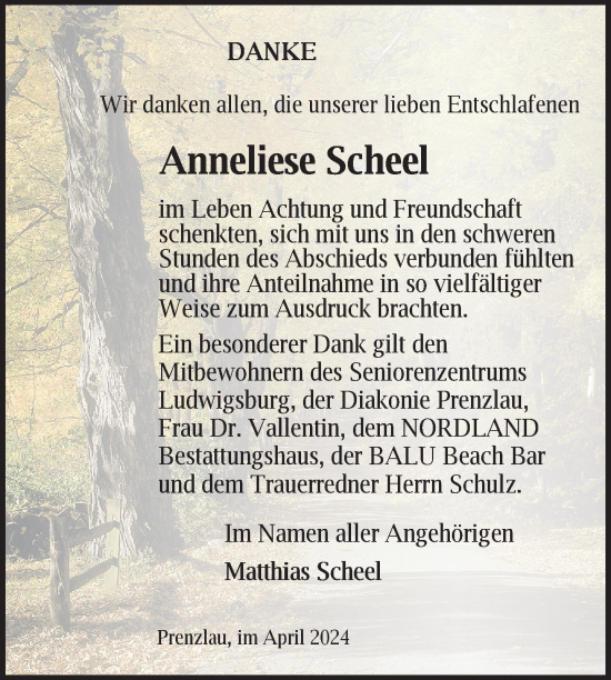 Traueranzeige von Anneliese Scheel von Uckermark Kurier Prenzlauer Zeitung