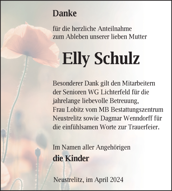 Traueranzeige von Elly Schulz von Nordkurier Strelitzer Zeitung