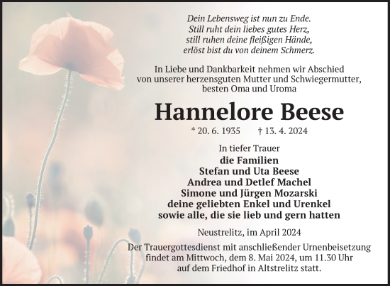 Traueranzeige von Hannelore Beese von Nordkurier Strelitzer Zeitung
