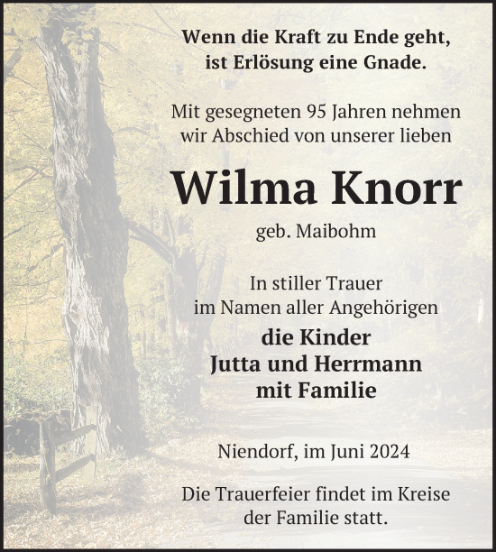 Traueranzeige von Wilma Knorr von Nordkurier Mecklenburger Schweiz