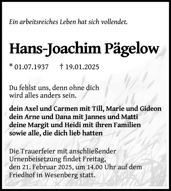 Traueranzeige von Hans-Joachim Pägelow von Nordkurier Strelitzer Zeitung