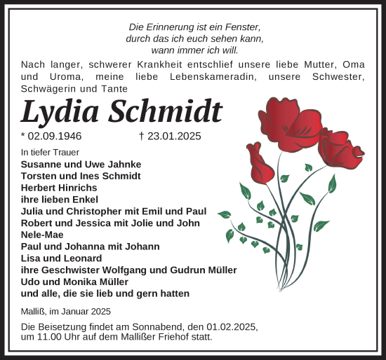 Traueranzeige von Lydia Schmidt von Ludwigsluster Tageblatt