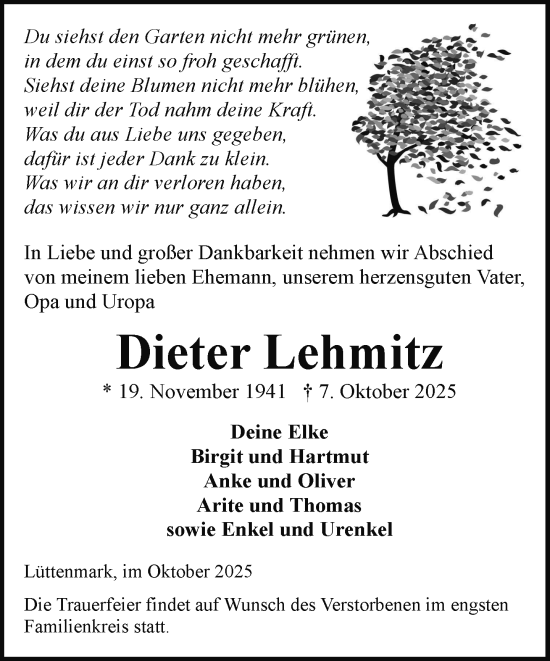 Traueranzeige von Dieter Lehmitz von Hagenower Kreisblatt