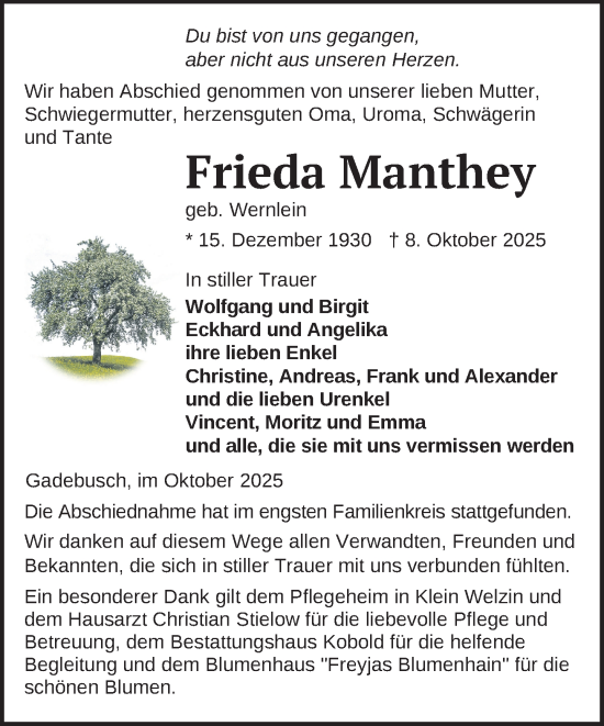 Traueranzeige von Frieda Manthey von Gadebusch - Rehnaer Zeitung