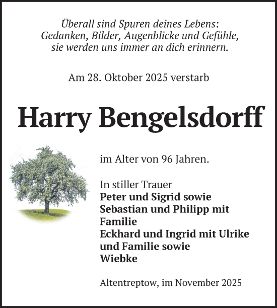 Traueranzeige von Harry Bengelsdorff von Nordkurier Neubrandenburger Zeitung