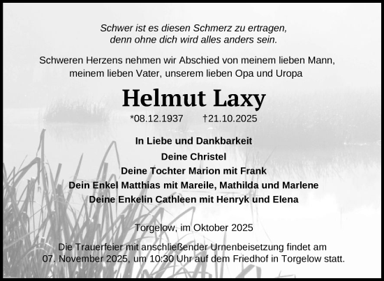 Traueranzeige von Helmut Laxy von Nordkurier Haff-Zeitung