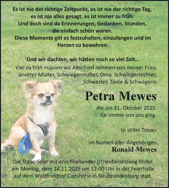 Traueranzeige von Petra Mewes von Nordkurier Strelitzer Zeitung