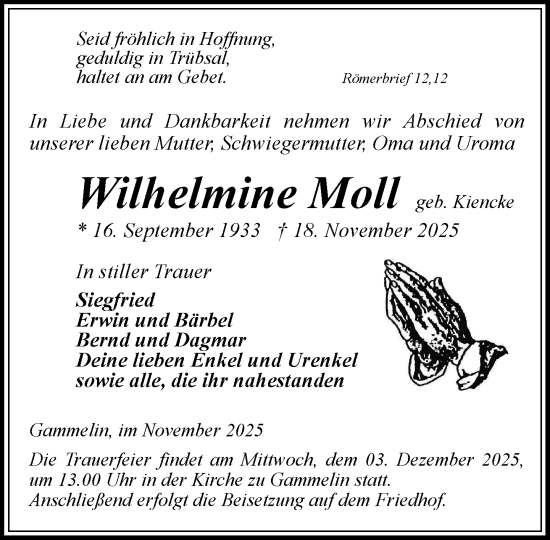 Traueranzeige von Wilhelmine Moll von Hagenower Kreisblatt